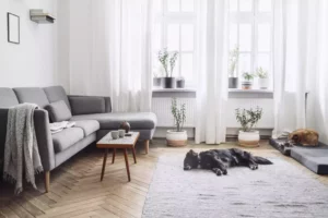 small-living-room-ideas-experthomebuilderstexas